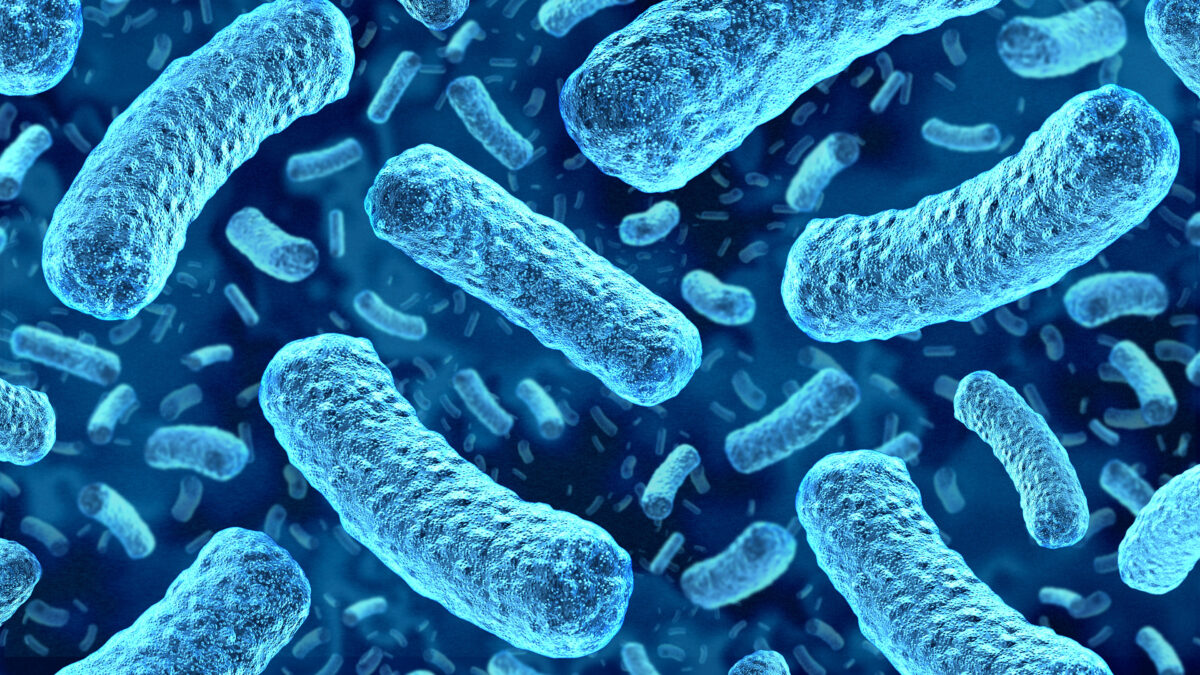 Cyclospora Boosts Fears That Worse Foodborne Outbreaks Are Ahead