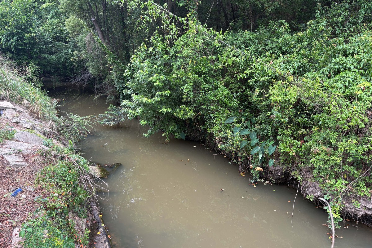 A view of creek with murky, brown water.