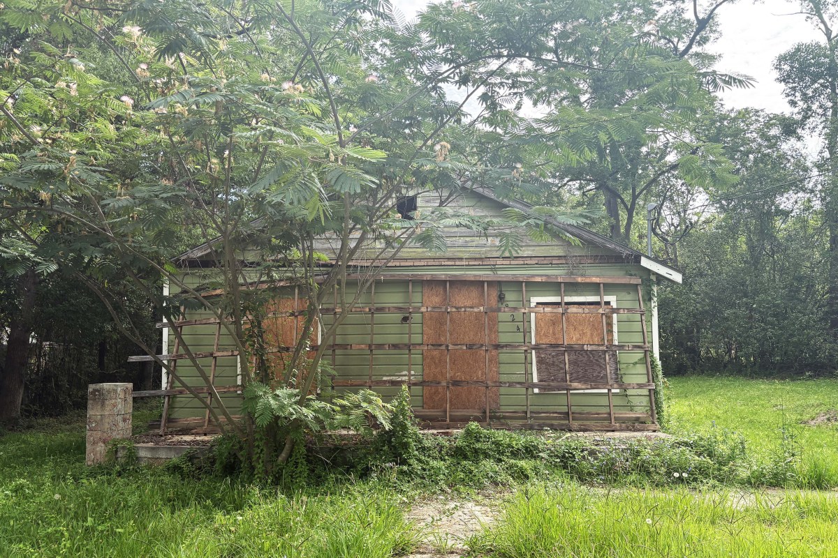 A photo of a boarded up house surrounded by overgrown foliage.